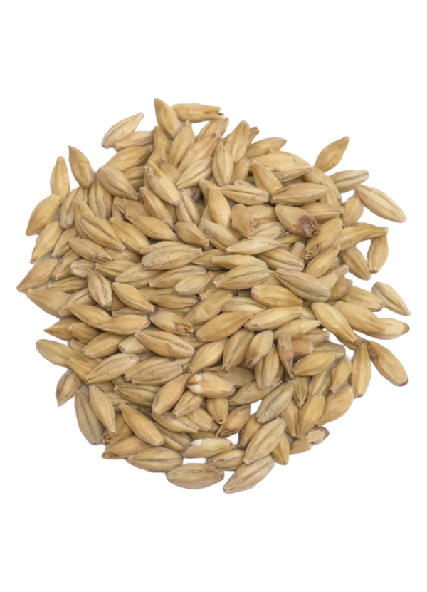 Pilsner Malt, Dingemans, Recipe Grains