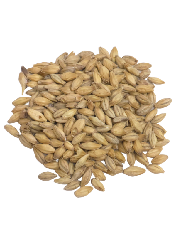 Pilsner Malt, Weyermann, Recipe Grains