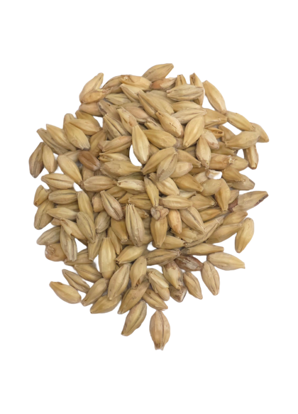 Pale Malt, Weyermann, Recipe Grains