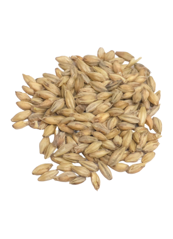 Pale Ale Malt, Briess, Recipe Grains