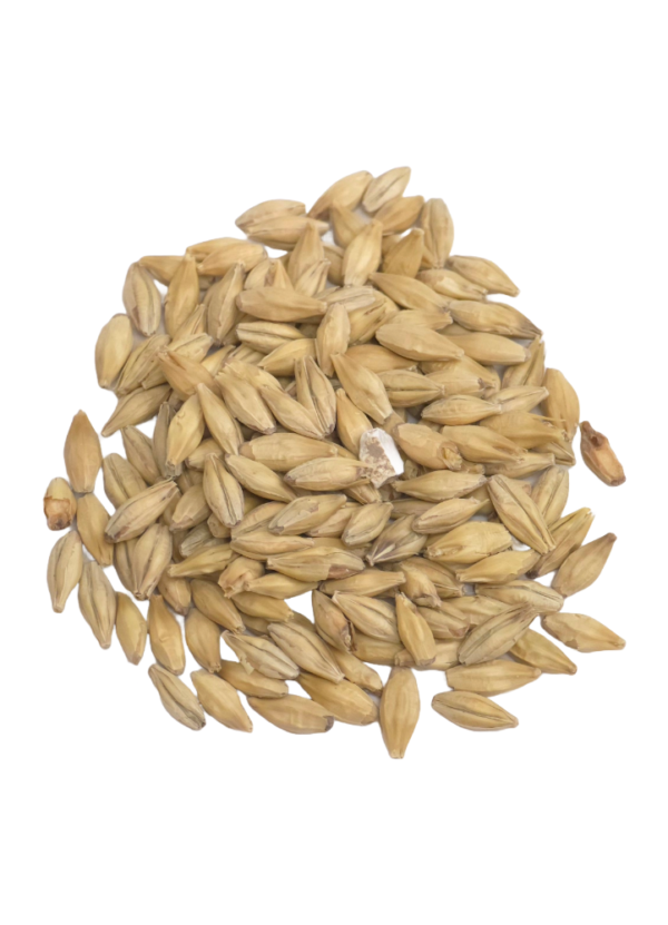 Pale Malt, Dingemans, Recipe Grains