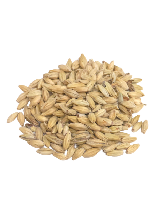 Honey Malt, Gambrinus, Recipe Grains