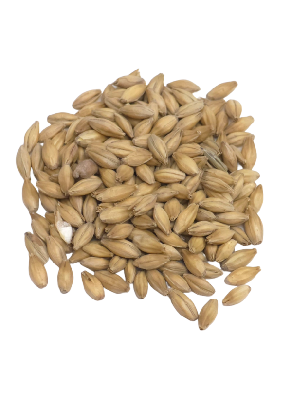 Pale Ale (Best) Malt, Crisp, Recipe Grains