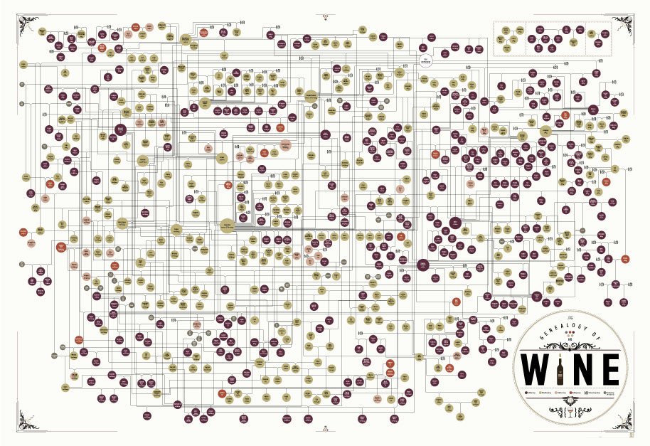 The Genealogy of Wine Poster - Keystone Homebrew Supply