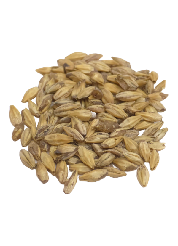 Carapils Malt, Briess, Recipe Grains