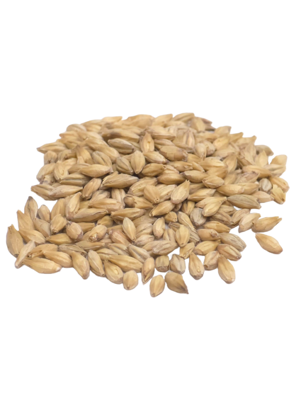 Barke Pilsner Malt, Weyermann, Recipe Grains