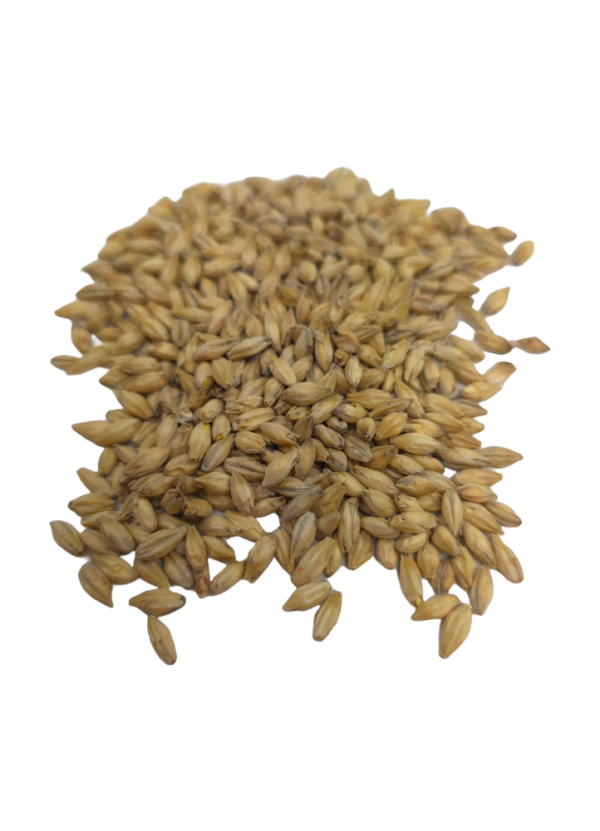 2-Row, Briess, Recipe Grains