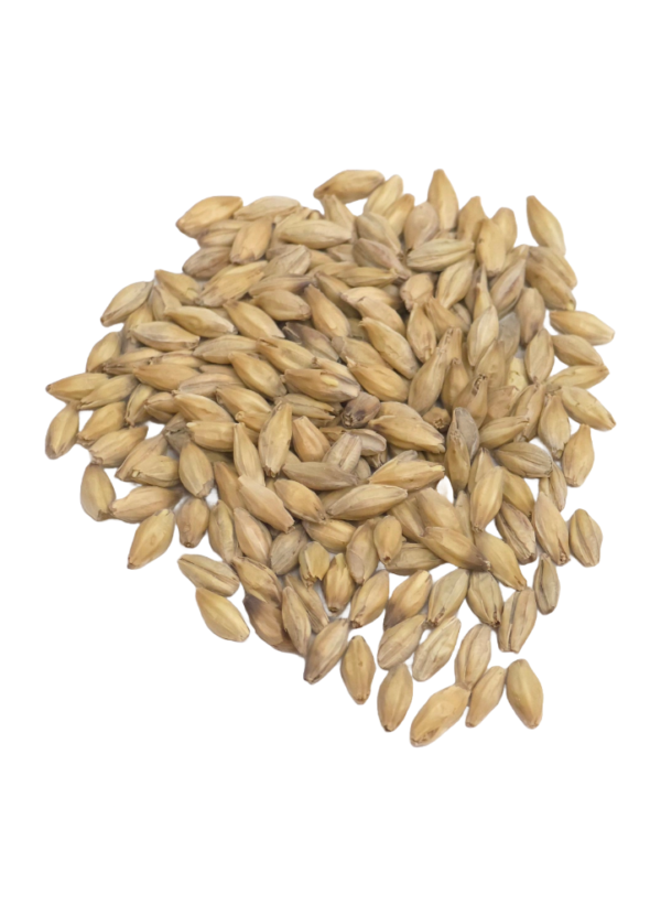 Deer Creek (PA) Keystone Pale Malt, Recipe Grains