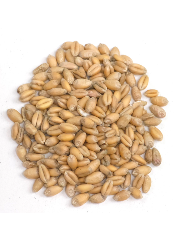 Raw Wheat Malt, Proximity, Recipe Grains