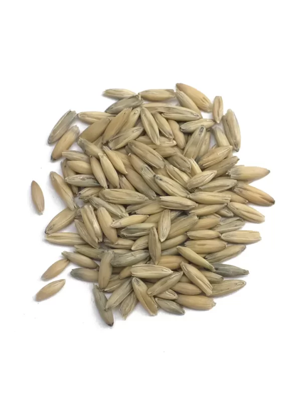 Oat Malt, Proximity, Recipe Grains